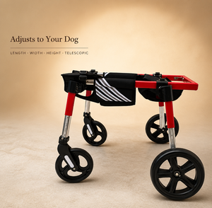 Fauteuil roulant pour chien en aluminium réglable à trois positions, chariot de mobilité pour animaux de compagnie de taille moyenne à grande - Product Image 4