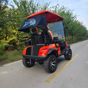 Carrito de Golf <span class=keywords><strong>El</strong></span>éctrico de 2 Plazas con Batería de Litio, Certificado por DOT, para Campos de Golf y Vecinados - Product Image 5