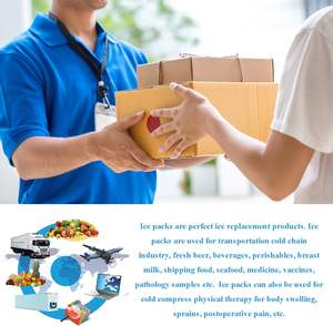 일회용 소프트 배송용 소형 미니 식품 등급 물 건조 젤 아이스 팩 시트 식품 배송 운송용 - Product Image 4