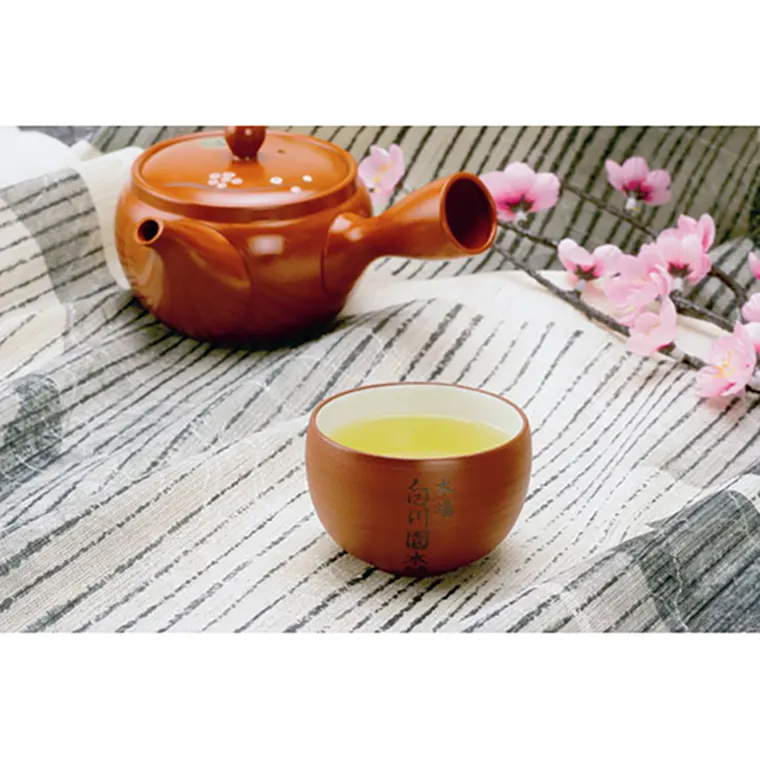 Japanese wholesale tea bags green tea pack has a rich aroma and flavor