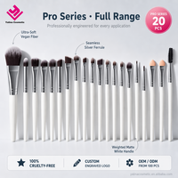 Ensemble de pinceaux à paupières 20 pièces Conforme FBA Vente en gros Petit MOQ Ensemble de pinceaux de maquillage à manche en bois pour débutants