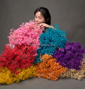 Fleurs <span class=keywords><strong>séchées</strong></span> décoratives artisanales de Gypsophile (Souffle de Bébé) – Éternelles, longue durée (3-5 ans) – Prix usine pour le Nouvel An Chinois - Product Image 1