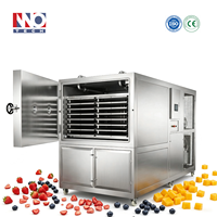 Vacuümvriesdroger voor lage temperaturen voor voedsel en biologisch gebruik met krachtige compressor en snelle condensorprestaties