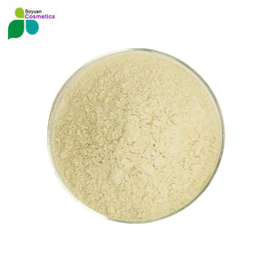 Натуральный экстракт женьшеня, порошок женьшеня, порошок 80% гинсенозидов, лучшее качество - Product Image 2