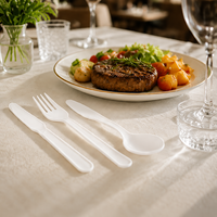 Ensemble de couverts biodégradables de qualité alimentaire emballés individuellement en CPLA compostable pour la restauration en gros