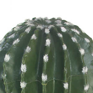 Chuangfa 23Cm Chất Lượng Cao Nhân Tạo Mô Phỏng Fluff Cây Xương Rồng Mới Lạ Cho Tường Trang Trí Sống Lễ Tạ Ơn Trung Quốc Năm Mới - Product Image 2