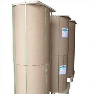 Carton pliable Premium One C1S Ivory board FBB C1S Ivory board pour boîtes cadeaux de médicaments sur le marché britannique - Product Image 1