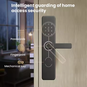 लोस्टार नए डिजाइन फिंगरप्रिंट 6085 मॉर्निज हाउस प्रवेश द्वार का दरवाजा लॉक अपार्टमेंट के लिए रिमोट कंट्रोल के साथ - Product Image 3