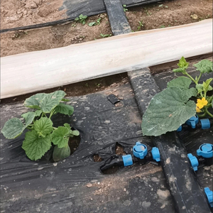 Tubería de PE LDPE/HDPE de Tamaño Completo para Sistemas de Riego Agrícola, Marca Boxi, PN16, Redonda - Product Image 3