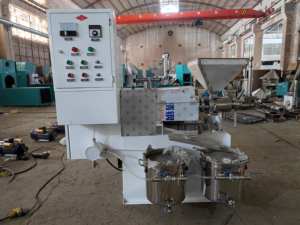 אבוקדו שמן עיתונות מכונה בישול מיני שמן ביצוע מכונת - Product Image 3