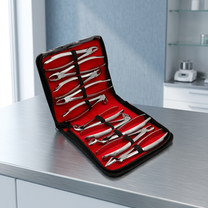 Ensemble de 10 pinces dentaires en acier inoxydable, poignée moletée argentée, instruments chirurgicaux de classe I, étui rouge - Product Image 2