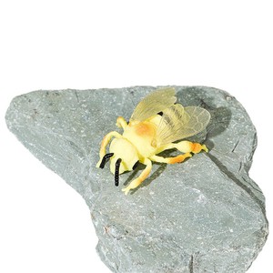Mini-ensemble d'usine de jouets en plastique : Modèles biologiques d'insectes en PVC (sauterelle, araignée, coléoptère, fourmi et grenouille) – Ornements statiques - Product Image 5