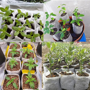 Bolsas <span class=keywords><strong>de</strong></span> cultivo <span class=keywords><strong>de</strong></span> <span class=keywords><strong>vivero</strong></span> <span class=keywords><strong>de</strong></span> <span class=keywords><strong>plantas</strong></span> <span class=keywords><strong>de</strong></span> <span class=keywords><strong>tela</strong></span> no tejida <span class=keywords><strong>de</strong></span> alta resistencia Capacidad personalizable <span class=keywords><strong>para</strong></span> el crecimiento <span class=keywords><strong>de</strong></span> plántulas <span class=keywords><strong>de</strong></span> <span class=keywords><strong>plantas</strong></span>-Precio <span class=keywords><strong>de</strong></span> fábrica Suministro <span class=keywords><strong>de</strong></span> jardín - Product Image 2