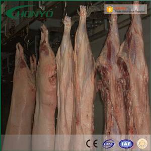 ステンレス鋼304製動力システム（モーターベアリングエンジン）回転式牛拘束箱用高効率完全牛用 - Product Image 3