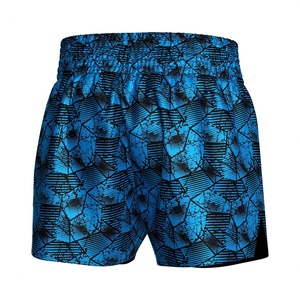 Durable <b>Grappling</b> Thai Thai Boxing Martial Arts Slim Cut Muay Thai <b>Shorts</b> - Product Image 2