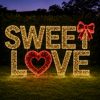 Lumière LED en forme de panneau 'Be Mine' avec cadre métallique, étanche IP65 CE, pour décorations événementielles, spots photo, boulevards urbains, motif Saint-Valentin