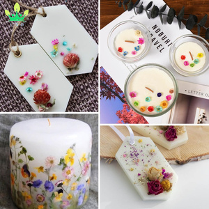 Piccoli fiori secchi per l'artigianato Mini <span class=keywords><strong>margherita</strong></span> naturale fiori veri alla rinfusa per gioielli fai da te <span class=keywords><strong>orecchini</strong></span> epossidici stampi candele sapone fare - Product Image 5