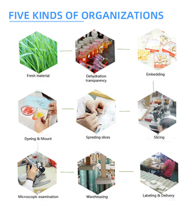 Toboganes de microcope de alta claridad, bacillos, Cpirochetes, microbiología, células de biología bacteriana, tobogán bacteriano - Product Image 5