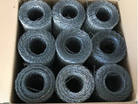 Malla de Refuerzo Galvanizada de 250 mm de Ancho, Malla de Refuerzo para Estuco, para Proyectos de Construcción, Precio de Fábrica