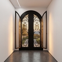 Porte en fer forgé à double arche avec vitrage