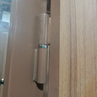 TECHTOP Porte extérieure blindée turque pour la maison Entrée principale Porte métallique en acier inoxydable Autre porte de sécurité