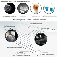 Feuilles de plastique Petg transparentes résistantes au froid Rouleaux de film PET rigide Feuille de Petg en polyester transparent pour emballage de formage sous vide