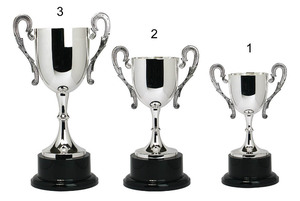 Premios al Primer Lugar en Torneos Deportivos, Competiciones, Copa de Trofeo Grande Plateada - Product Image 2