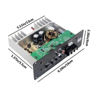 BT5.0 tam ton saf bas araba Subwoofer çekirdek ile araba amplifikatör kurulu 12V yüksek güç Subwoofer amplifikatör 800W