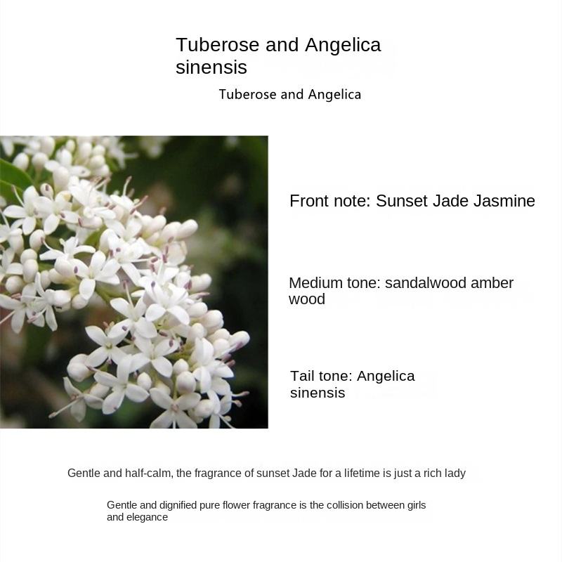 Tubéreuse et Angelica Sinensis