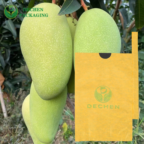 Mango Protection Paper Bag Protect Fruit In Thailand Mango Protection Paper Bag Protect Fruit In Thailand