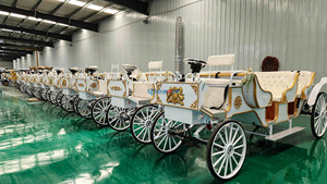 Chariot de Mariage Européen à Prix Abordable, Chariot de Tourisme, Magnifique Chariot Citrouille Blanc Couvert - Product Image 5