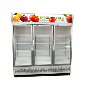 Enkeldeurs verticale glazen koelkast voor dranken, met mechanische temperatuurregeling en verstelbare planken - Product Image 2