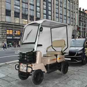 Triciclo Elettrico a <span class=keywords><strong>4</strong></span> <span class=keywords><strong>Ruote</strong></span> con Carrozzeria Chiusa per Adulti, Prezzo di Fabbrica, Velocità 30KM/H, Motore 48-60V, 2 Posti - Product Image 1