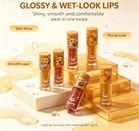 Kit de gloss à lèvres naturel végétalien bio en gros, marque privée, hydratant, haute pigmentation, avec contenants pour rouge à lèvres