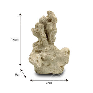 Aquarium Accessoires Groothandel Kunstmatige Koraal Aquarium Ornament Set Kleurrijke Aquarium Decoratie Mini Aquarium - Product Image 2