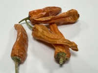Poudre de piment jaune séché avec certification casher
