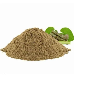 Proveedor de Extracto Seco en Polvo de Tallo de Tinospora Cordifolia que Ofrece Fabricación de Extractos Botánicos Naturales al por Mayor - Product Image 3