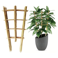 Piquets en treillis en U en bambou pour plantes-Support de jardin naturel pour fleurs grimpantes, vignes, légumes (10/20/50 paquets)