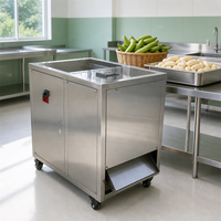 OEM ODM Groene Bananen Schilmachine 150kg/u Automatische RVS Plantain Schiller voor Chipsfabriek Leverancier