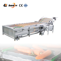 500 kg/uur dadelpalm- en sinaasappelwasmachine, zachte aardappelreinigingsmachine, wortelwas- en droogmachine, groentewasmachine