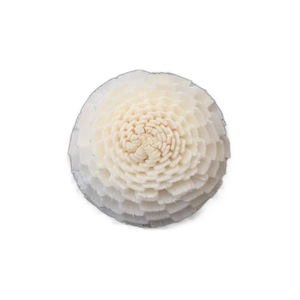 Livraison directe |   Plusieurs styles disponibles, diffuseurs de parfum en fleurs de Sola de 8 cm, fleurs en bois de Sola, décoration d'intérieur, fleurs séchées - Product Image 6