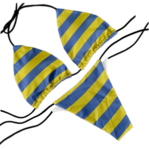 Trajes de baño de Bikini dividido sexy de estilo europeo y americano recién lanzados para mujeres Servicio OEM con logotipo personalizado Haus Industries - Product Image 4