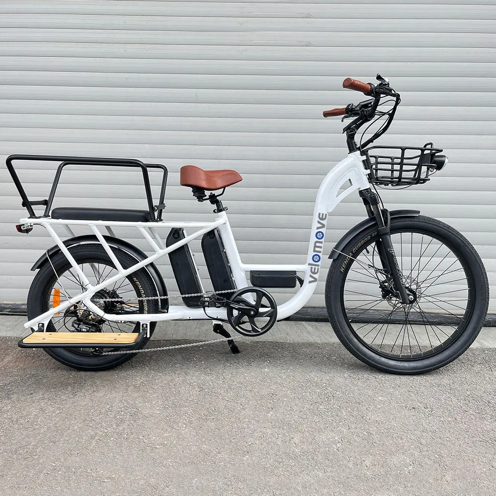 2024 dernier utilitaire double batterie 250w 500w 750w 1000w ebike vélo cargo électrique pour usage familial vélo électrique