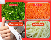 Machine à découper les feuilles, le chou, les oignons, les carottes, le gingembre et les oignons, pour couper les légumes, pour la cuisine