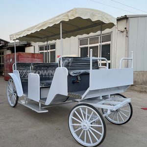 Carroza Eléctrica Comercial Larga para Turismo, con Adornos Dorados, Asiento Ancho, para Eventos al Aire Libre y Recepciones - Product Image 5