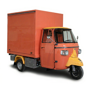 Tricycle électrique à marche arrière, capacité de charge de 100-200 kg, carrosserie fermée, moteur 36V 200-250W, véhicule à trois roues motorisé pour 3 passagers - Product Image 1