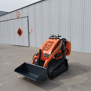 Chargeuse compacte de haute qualité fournie par la Chine, capacité de 380 kg, livraison gratuite - Product Image 2