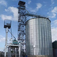 Silo di stoccaggio per grani in acciaio zincato a caldo | 500T-10000T personalizzabile Silo in acciaio ondulato imbullonato per riso di frumento di mais