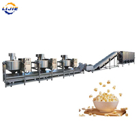Lijie Ligne de production de pop-corn au caramel industrielle et commerciale personnalisée, saveur pêche salée, chauffage gaz/électrique, acier inoxydable 304