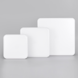 Germany Warehouse Modern IP65 IK10 Round <strong>Sensor</strong> Led <strong>Ceiling</strong> <strong>Light</strong> for Home Corridor - Product Image 5
